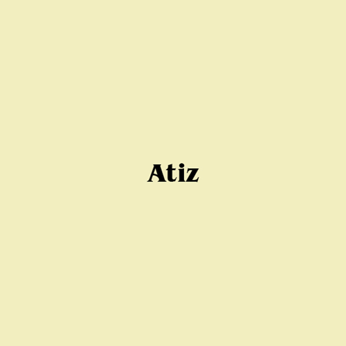 ATiZ | آتیز